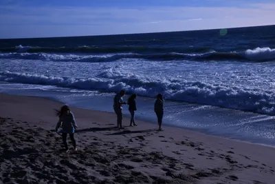 DSC_0389 (Large).JPG